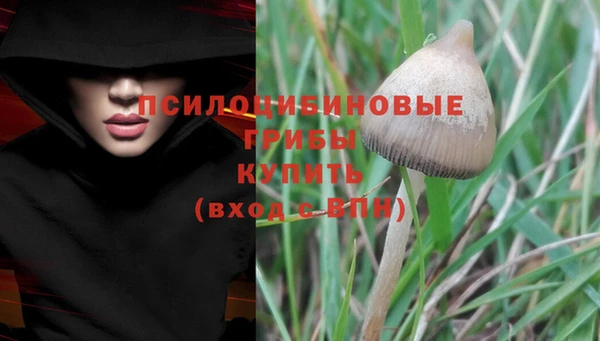 ешки Абаза