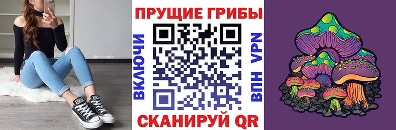 Псилоцибиновые грибы Magic Shrooms  Горячеводский 